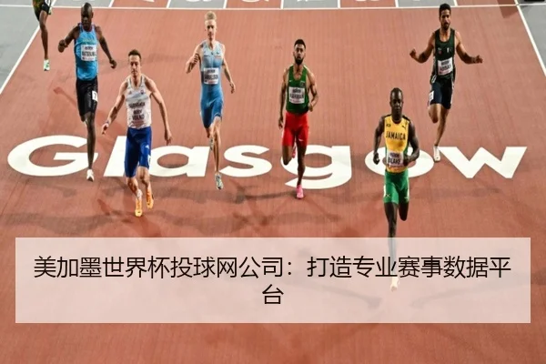美加墨世界杯投球网公司：打造专业赛事数据平台