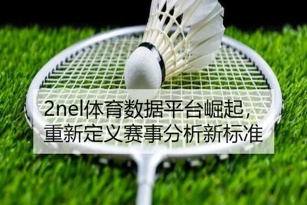 2nel体育数据平台崛起，重新定义赛事分析新标准 | qutiyu